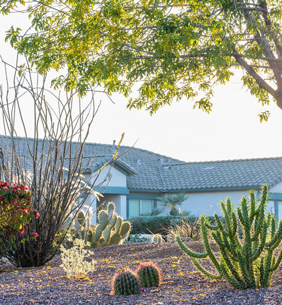 arizona-house arizona-house